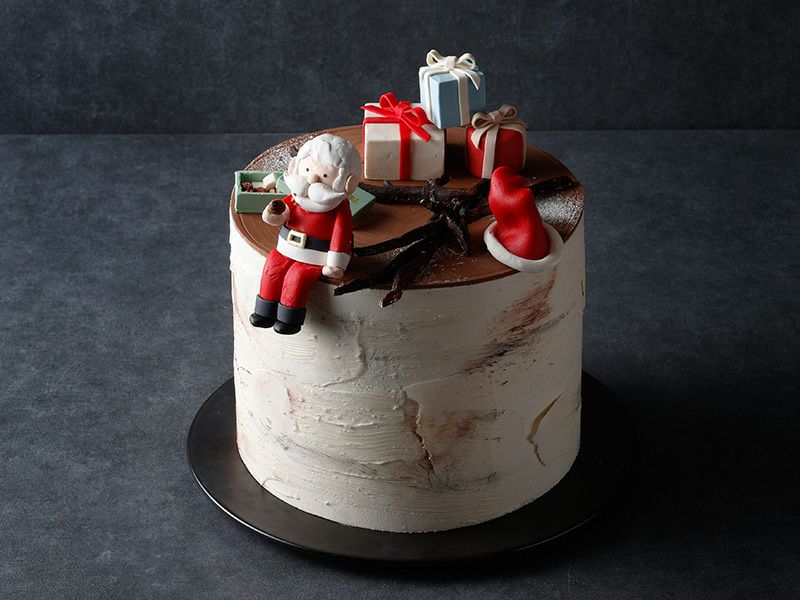 クリスマスケーキ ペール ノエル オゥ ルポ (外側)